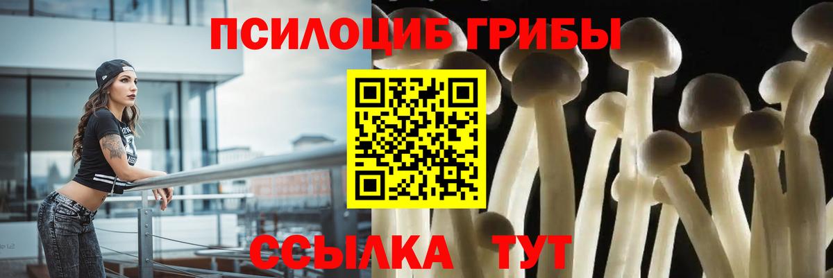 Галлюциногенные грибы прущие грибы  Галлюциногенные грибы Cubensis  Вход с VPN  Воткинск 